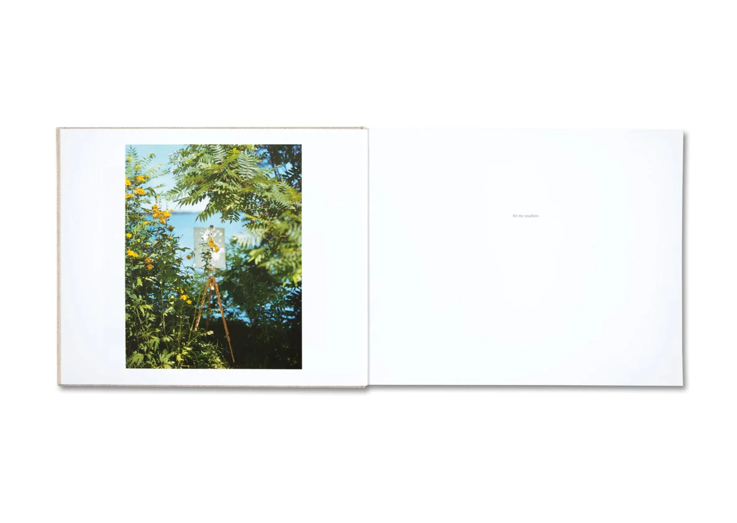 A Pound of Pictures