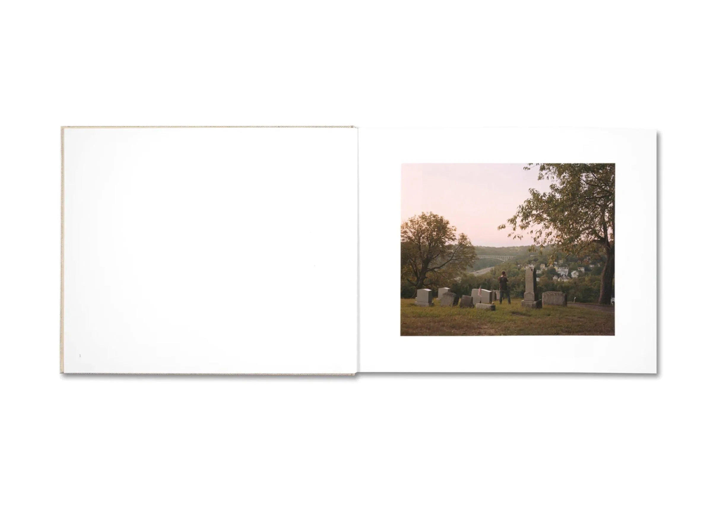 A Pound of Pictures