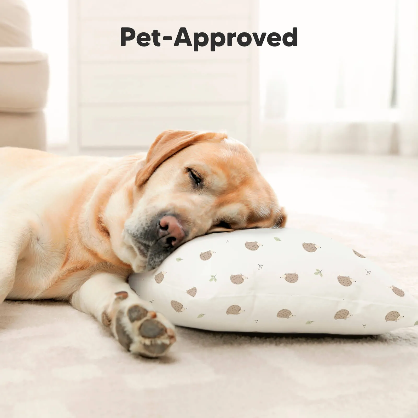 Buddy Toddler Pillow (Bruce)