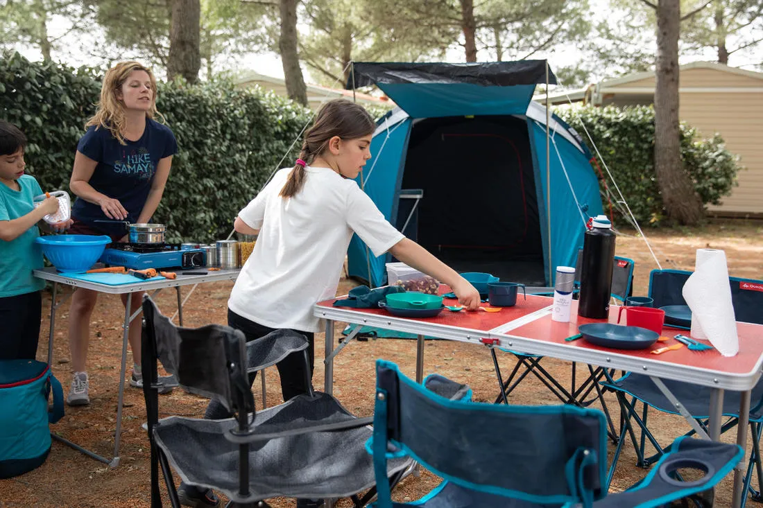 Camping Stove - Blue/Black