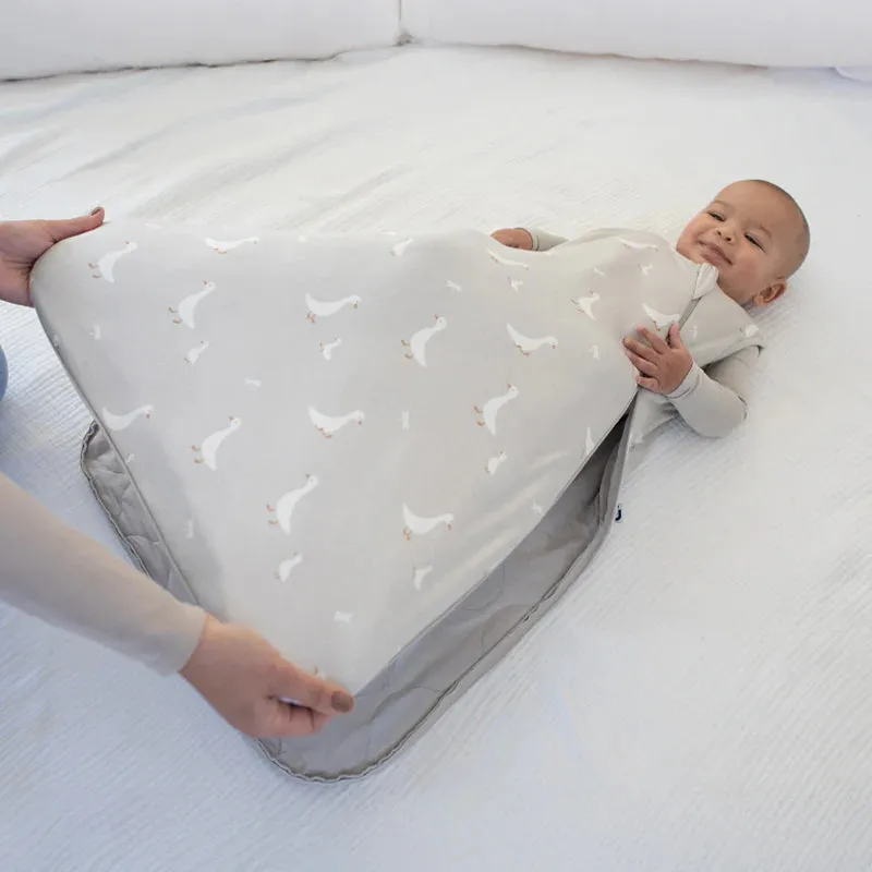 Goose Sleep Bag 2.5 Tog