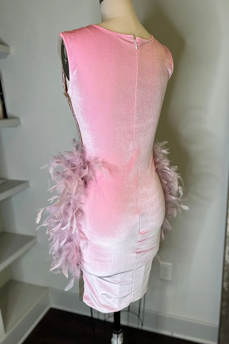 Illusion Deep V Neck Beads Feather Pink Homecoming Dress for Black Women QH2512