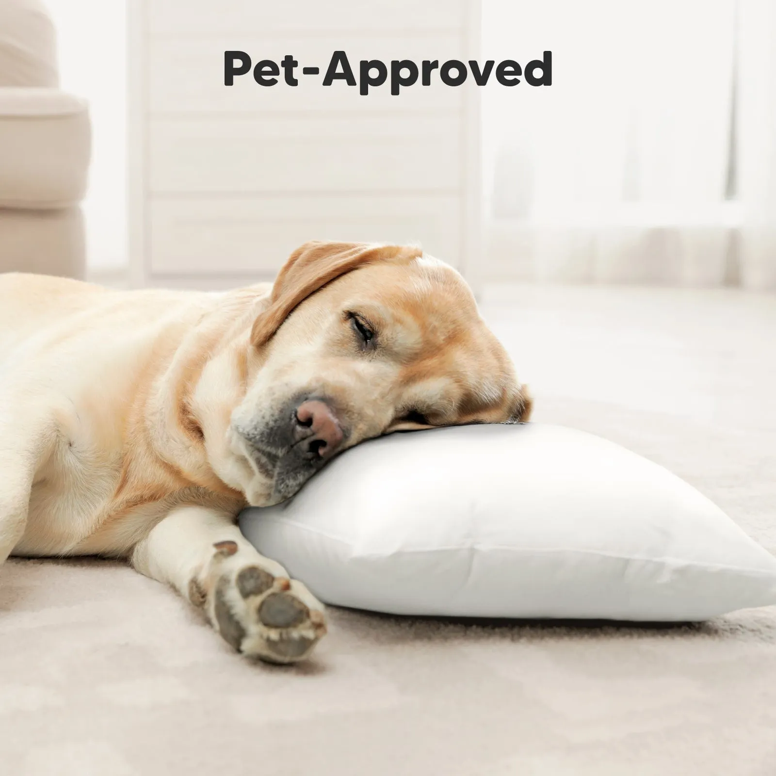 Jumbo Toddler Pillow with Pillowcase (Soft White)