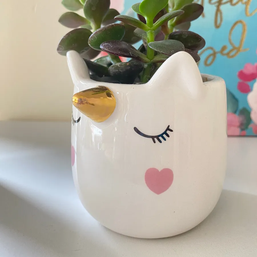 Unicorn Planter