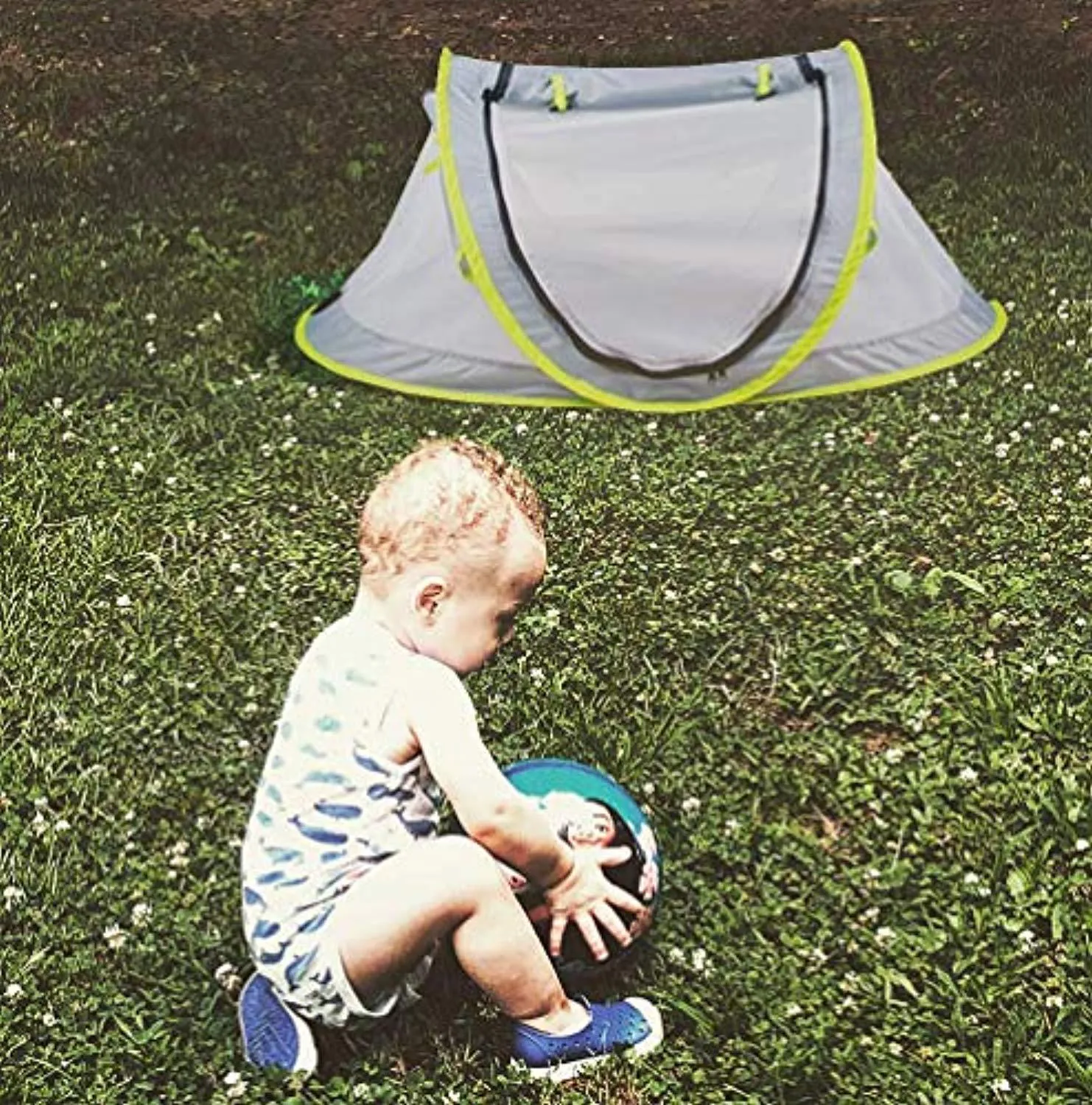 Wayfinder TravelTot, Baby Travel Tent Portable Baby Travel Bed Indoor & Outdoor Travel Crib Baby Beach Tent UPF 50  UV Protection w/Mosquito Net and 2 Pegs