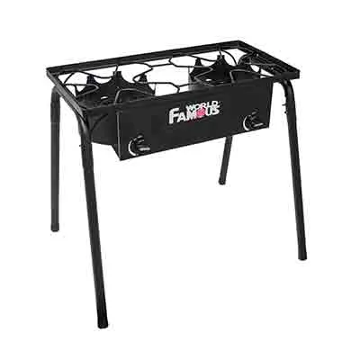 World Famous Dual Burner Propane Stove